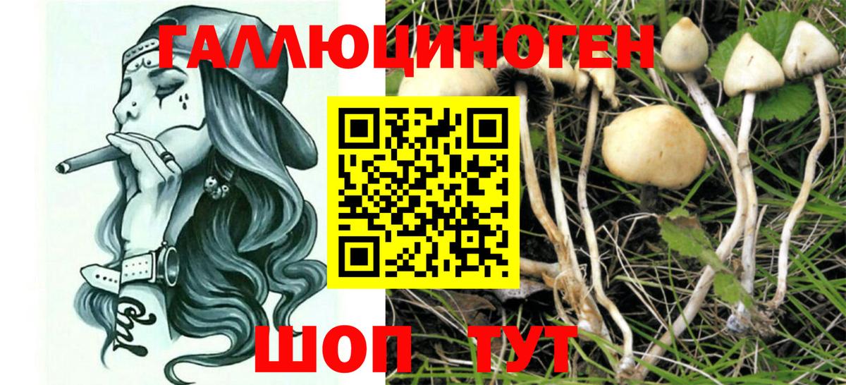 Псилоцибиновые грибы ЛСД Знаменск