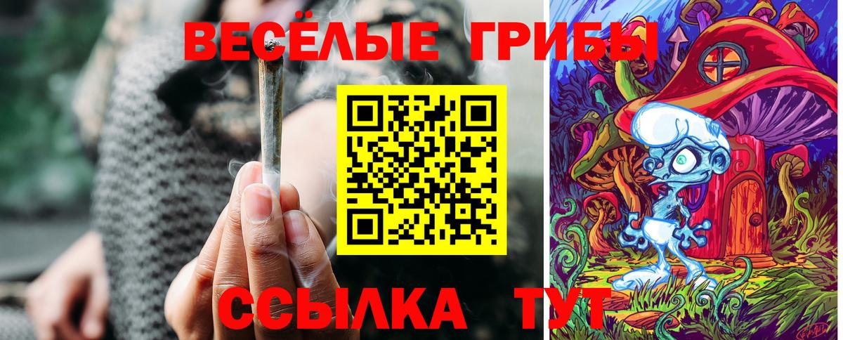 Знаменск  Псилоцибиновые грибы мухоморы  Псилоцибиновые грибы прущие грибы  Вход с VPN 